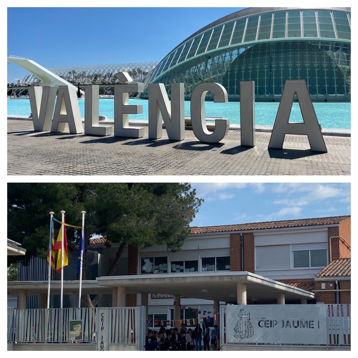 Morgane TRZESIEC tweet media