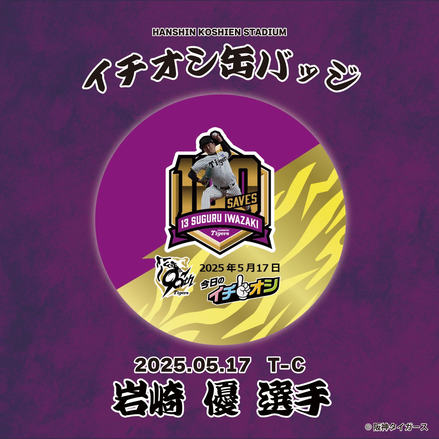 Amazon.co.jp: 甲子園球場100周年記念ボール 阪神タイガース