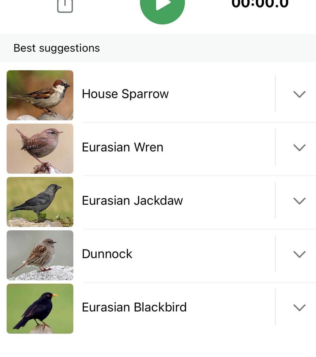 Christine Stovell tweet media