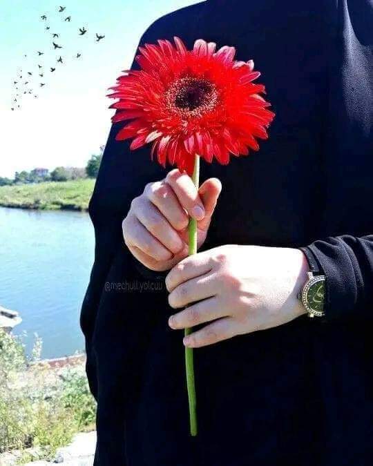 هدى حجازي tweet media