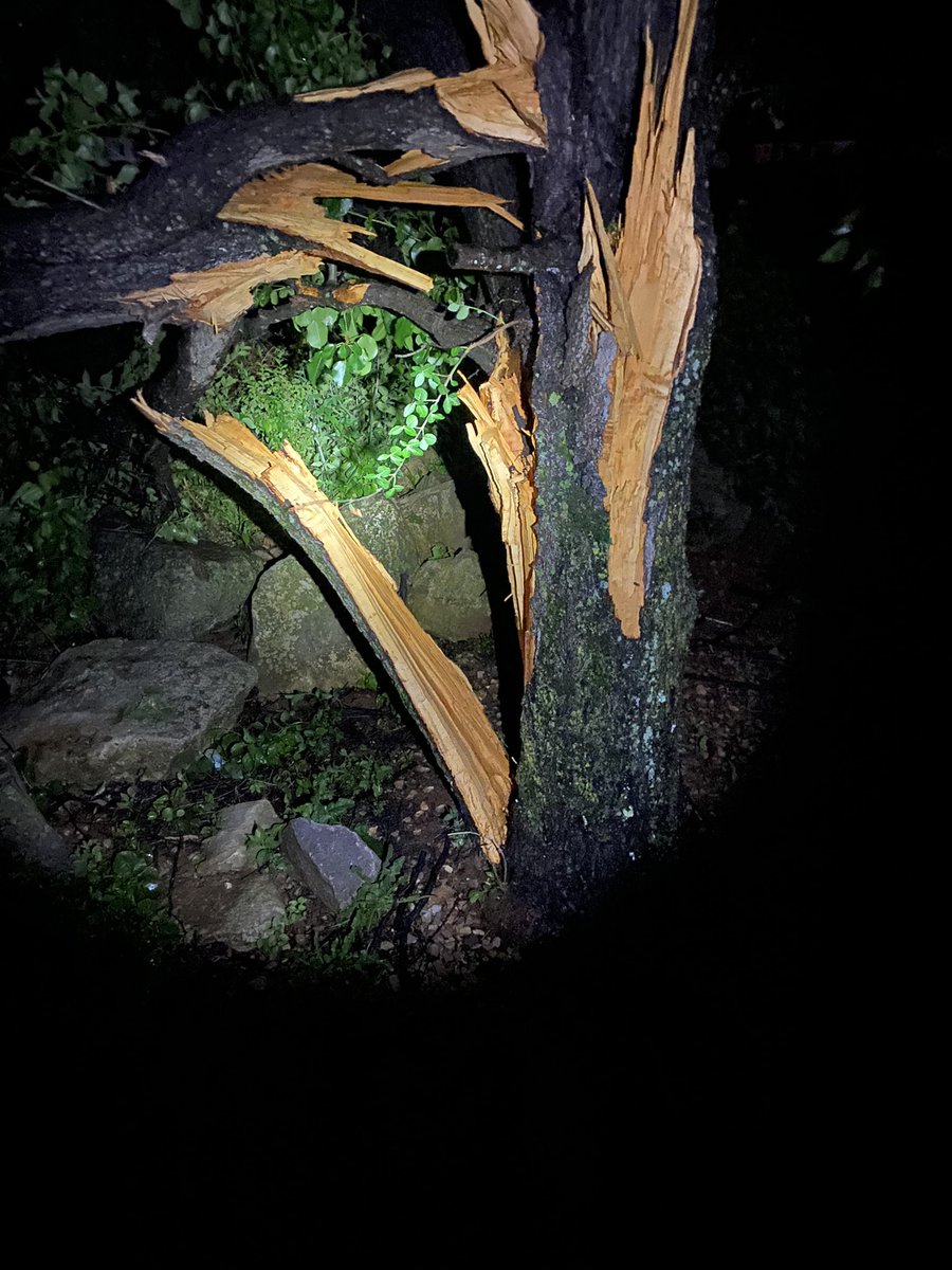 W700 Weather Inc. tweet media