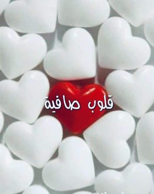 هدى حجازي tweet media