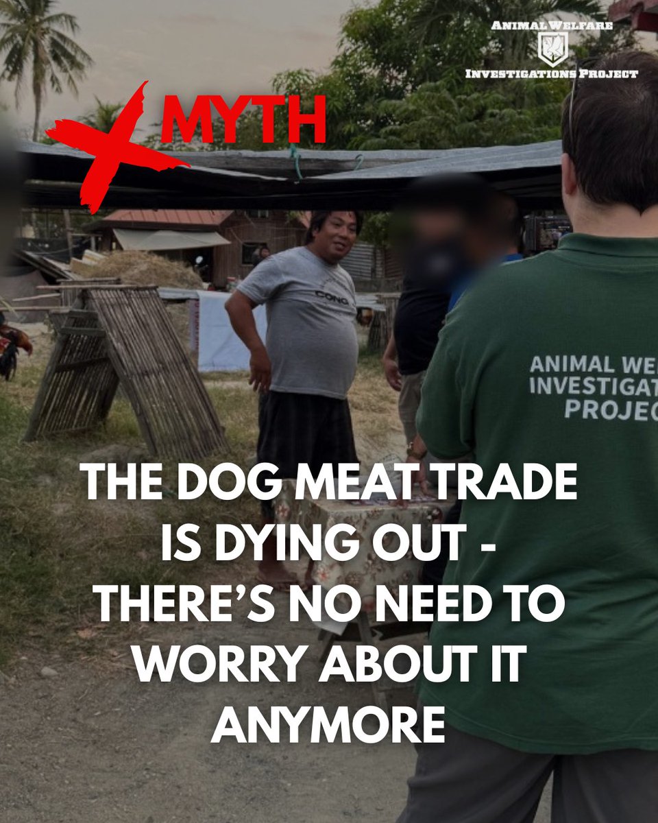 awipngo's tweet image. The reality is, the dog meat trade is still very active in parts of the Philippines. Dogs are being stolen, transported in horrific conditions, and slaughtered illegally.

We're working to shut down these operations.

#EndTheDogMeatTrade #AnimalWelfareInvestigations #AWIP