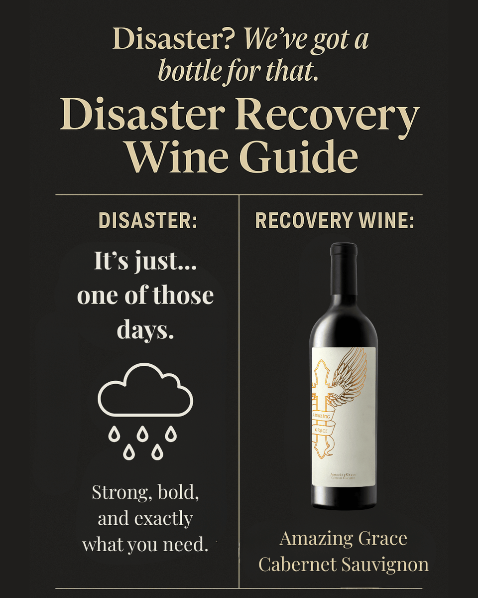 It’s just… one of those days ☁️🍷
Let Amazing Grace Cabernet Sauvignon wrap you up like a warm hug.
Rich, bold, and exactly what you need to end the day right.

#DisasterRecoveryGuide #WineSavesTheDay #LifeHappensWineHelps #BlackElephantVintners#WineForTheMood #KeepCalmAndWineOn