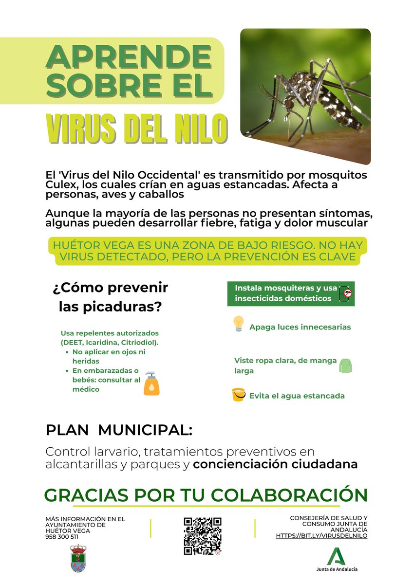 🦟 APRENDE SOBRE EL VIRUS DEL NILO

✅ HUÉTOR VEGA ES UNA ZONA DE BAJO RIESGO. NO HAY VIRUS DETECTADO, PERO LA PREVENCIÓN ES CLAVE.

➡ PLAN MUNICIPAL: Control larvario, tratamientos preventivos en alcantarillas y parques, y concienciación ciudadana.

#AyuntamientoDeHuétorVega