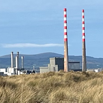 Last chance to sign up for our Biodiversity guided cycle taking in unique landscapes and wildlife of Bull Island and hearing the conservation efforts to protect our species! Join us this morning at 11am!   Free event but please register bit.ly/43kITia #BikeWeek2025