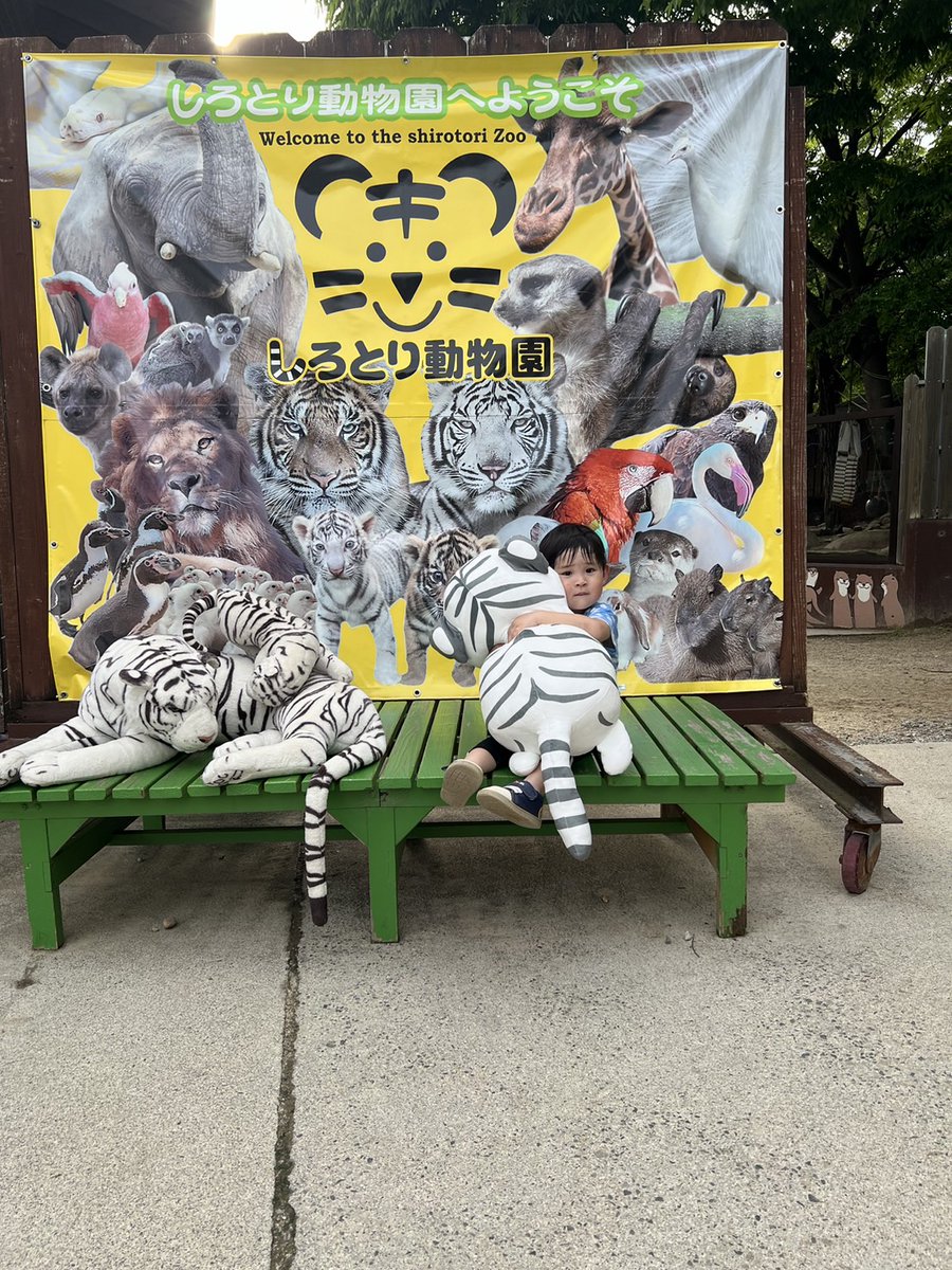 KT68z's tweet photo. 今日はしろとり動物園に行きましたぁ✨
たくさんの動物たちに餌をあげたり触れ合えて楽しかったね🎵💕💕
ぬいぐるみのくじ引きで息子がまさかの特賞をひいた✨
新しいおっきいぬいぐるみが仲間入りしました✨ https://t.co/AO3ucJztmV