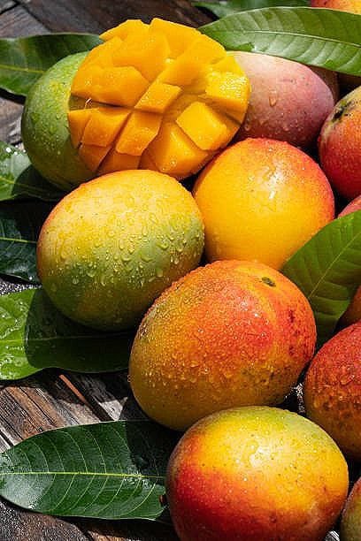 qu_jst's tweet image. المانجو ليس مجرد فاكهة لذيذة، بل دواء طبيعي أيضًا.
غير أن القليلين فقط يعرفون كيفية الاستفادة الحقيقية منه...

فيما يلي 8 طرق مثبتة علميًا لاستخدام المانجو لتعزيز صحة الجسم والعقل:

تابع