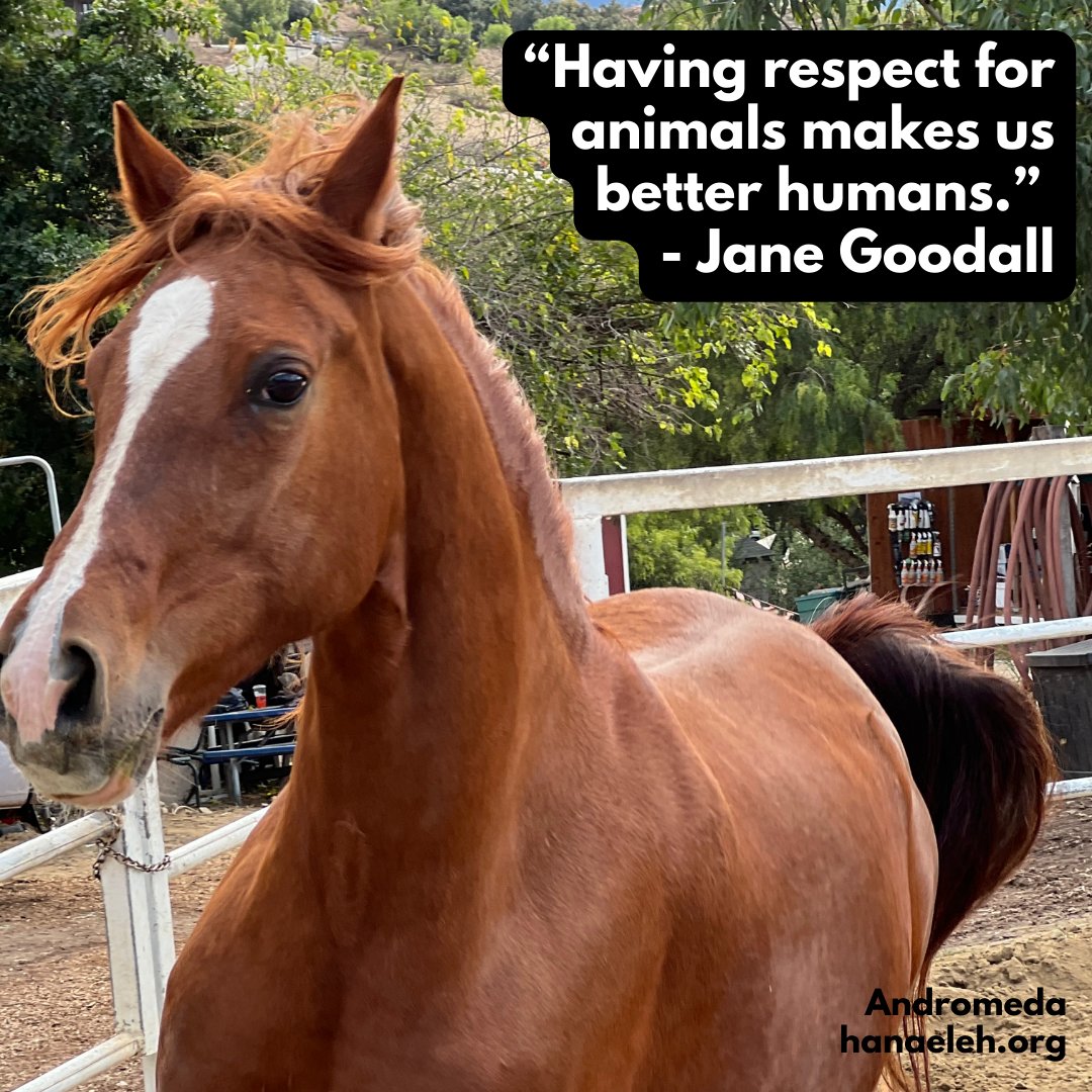 Hanaeleh (@hanaeleh) on Twitter photo 