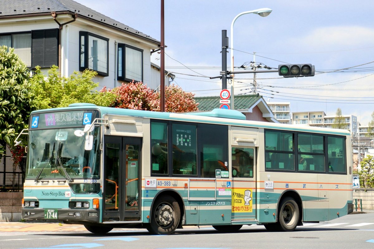 ハスの種　1000粒　Azuma ハスの種 1000粒 Azuma ハスの種 1000粒 Azuma ハスの種 1000