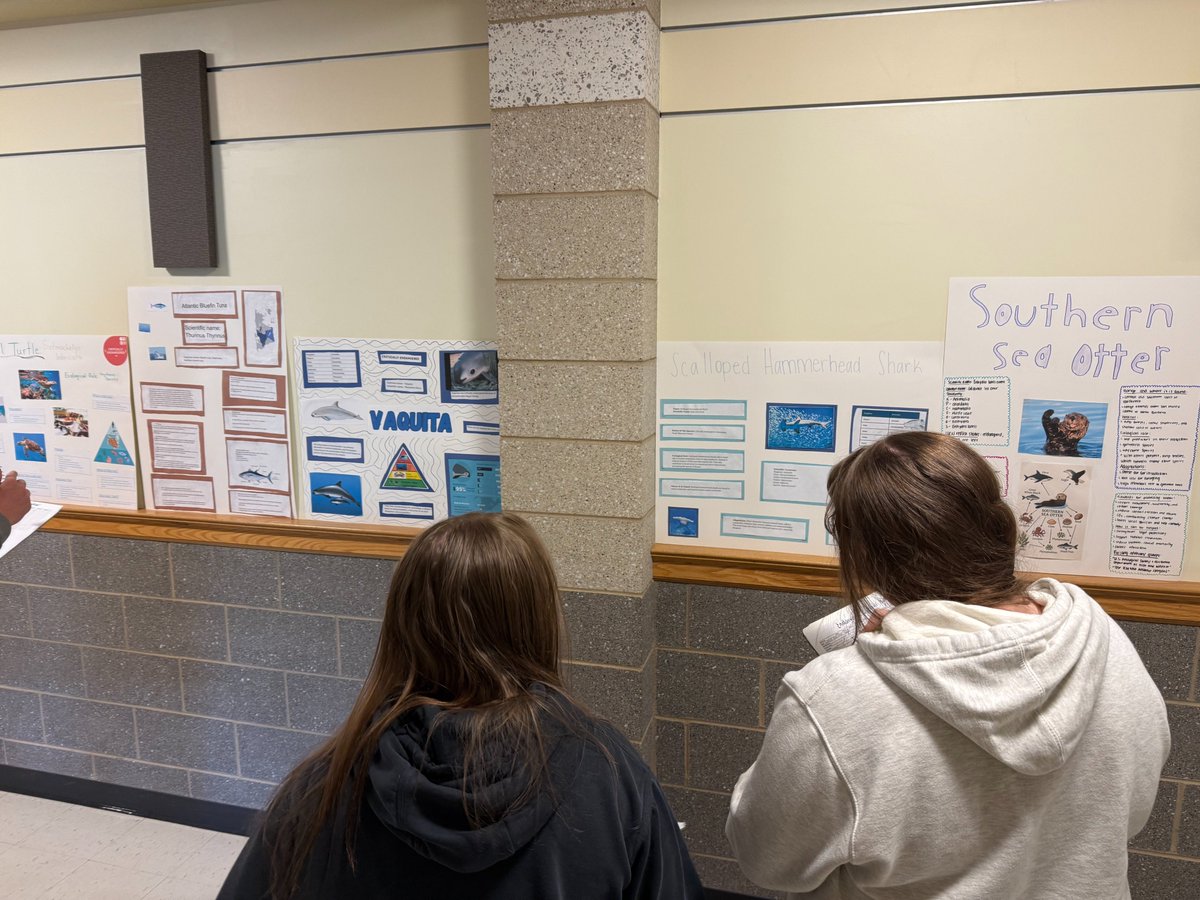 Meegan Molander tweet media