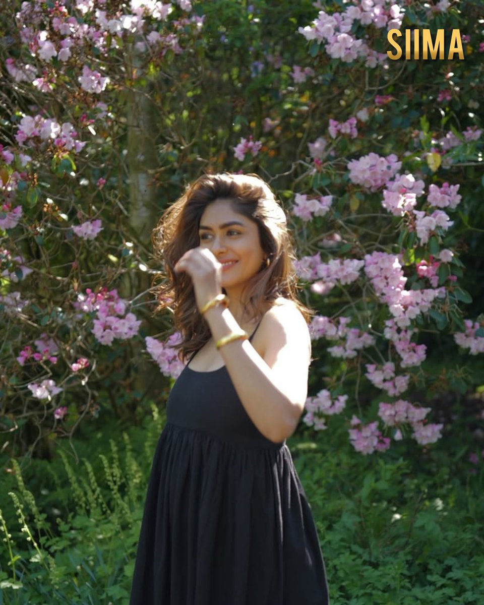 siima's tweet photo. Basking in nature’s glow, Mrunal Thakur turns every moment into a masterpiece of serenity and style.

@mrunal0801
#MrunalThakur #SIIMA #AestheticVibes #NatureAndElegance #GracefulMoments #TimelessBeauty #FloralDream #SereneStyle #EtherealGlow #siima https://t.co/8c7xrFd3MV