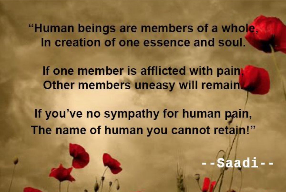 The images from Gaza are horrifying and heartbreaking. For the love of humanity, stop the war, stop the killing and suffering of children, release the hostages immediately and work on a two state solution! #Israel #Gaza
