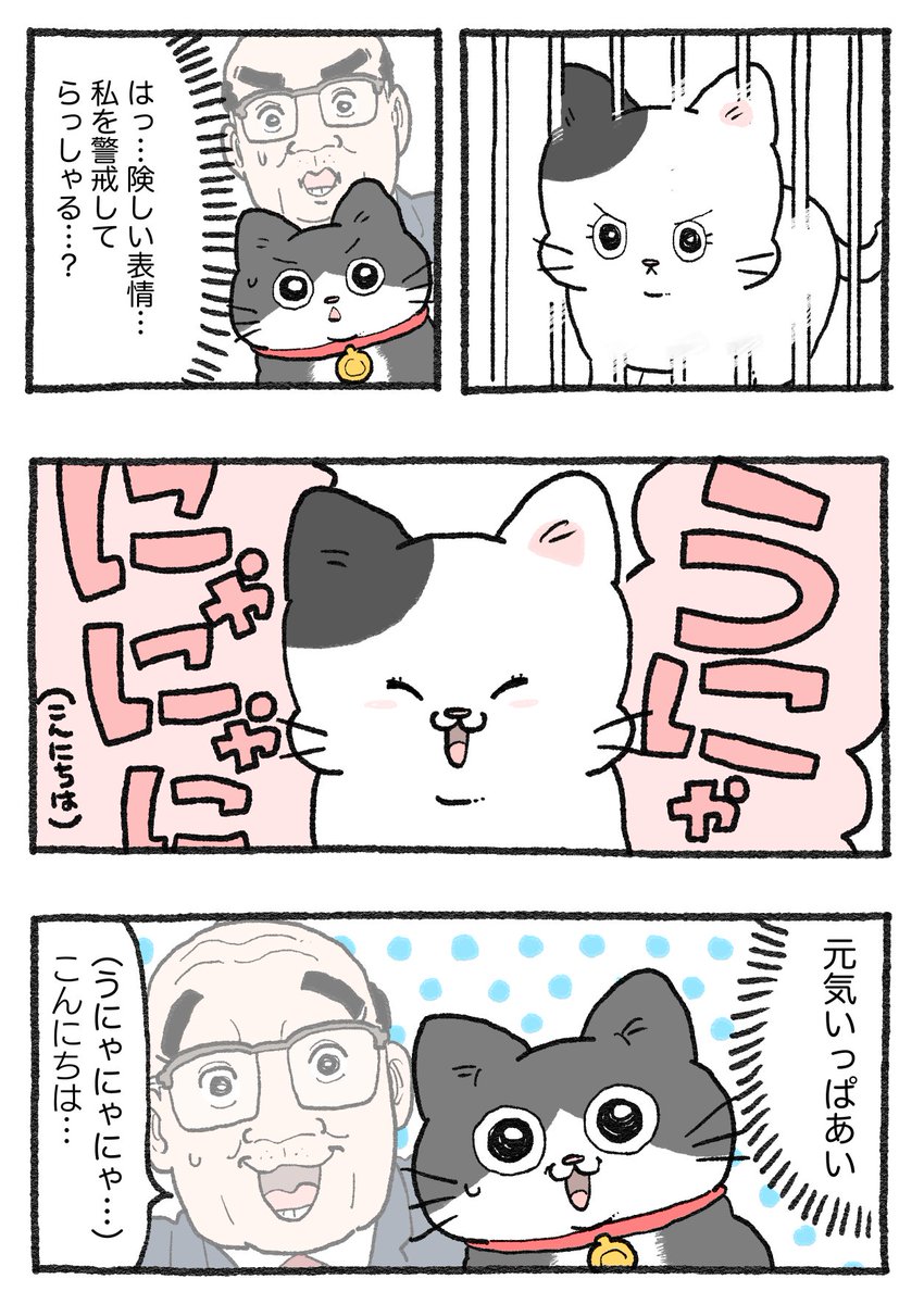 ねこおじ様 ねこに転生したおじさん。その716