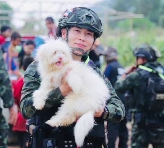 NimrodAndrew's tweet photo. Following the clearance of the SAC outpost today, displaced civilians are now able to return to their homes. Our sincere thanks to #Thailand for providing them with temporary refuge across the border during the recent conflict. https://t.co/TELYxo5KEv