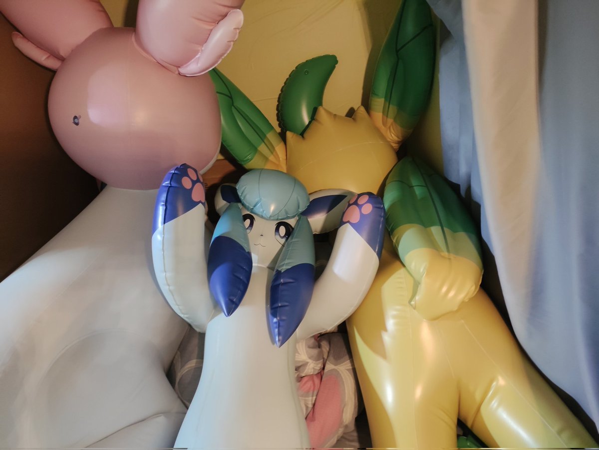 Leptailurus_Yue tweet media