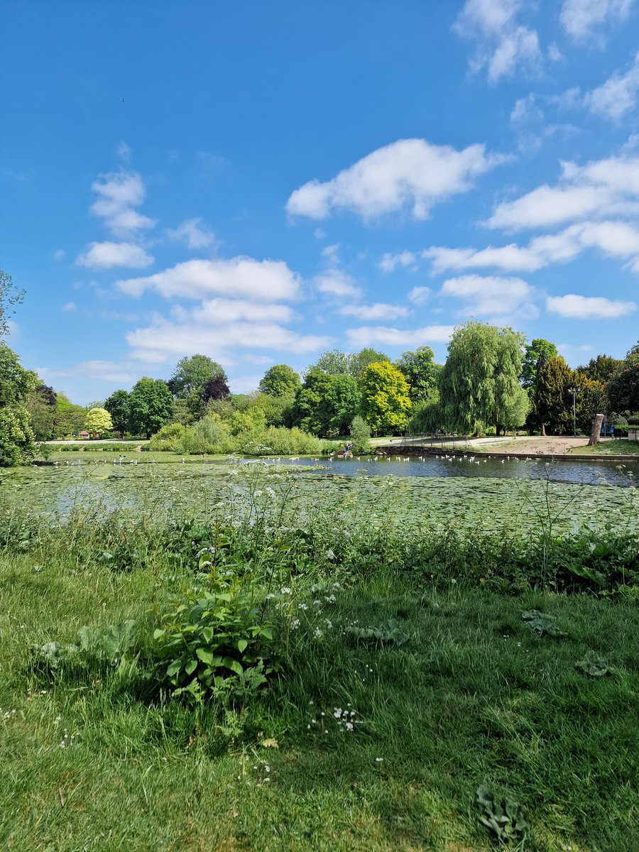 Life is good, but I still need a freak that does it crazy style