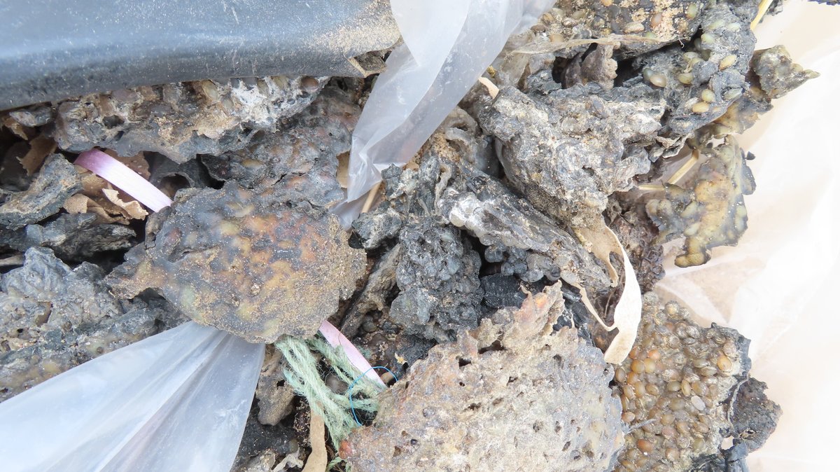 12 of us lovely volunteers cleared 12 bags of rubbish from our beach today-well done everyone. Too much shipping debris, too much North sea collision material,bottles,tins and general litter. - 415 bags so far this year. #LincsConnect