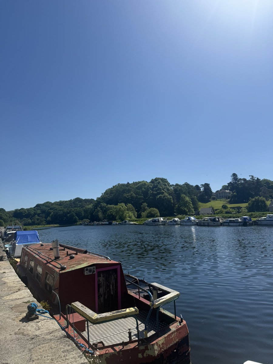 Sheila Donegan tweet media