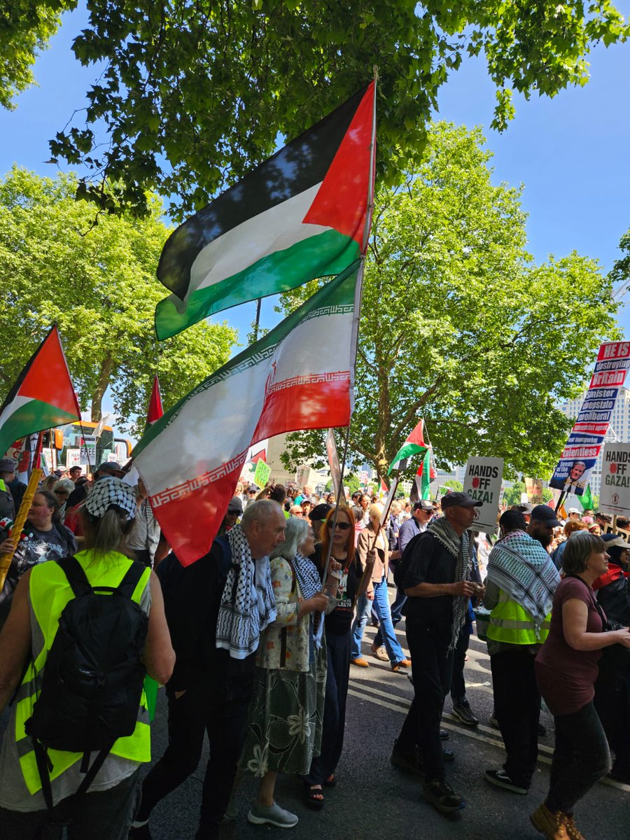 Just a grandma waving the Iranian flag in the heart of London. Some scam artists take their pensions, others take their souls.