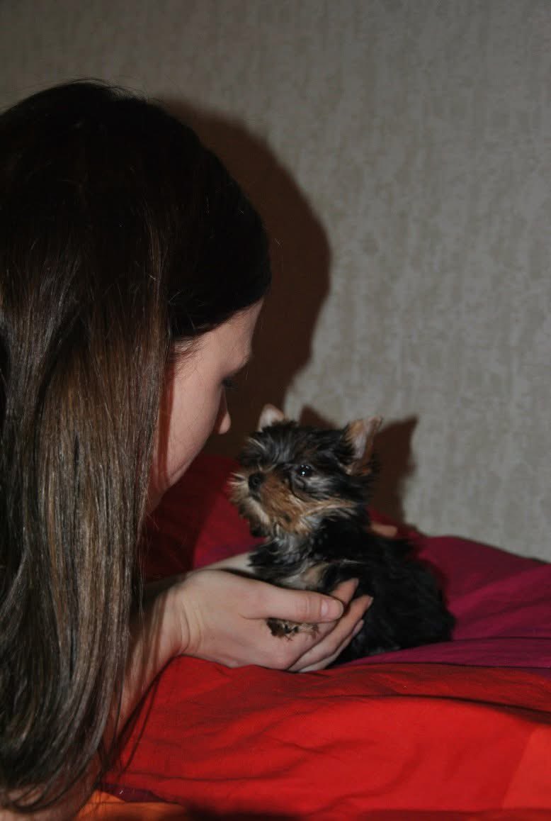 14 suņa gadi pagājuši un cerams nu mazais cilpo pa mākoņiem.