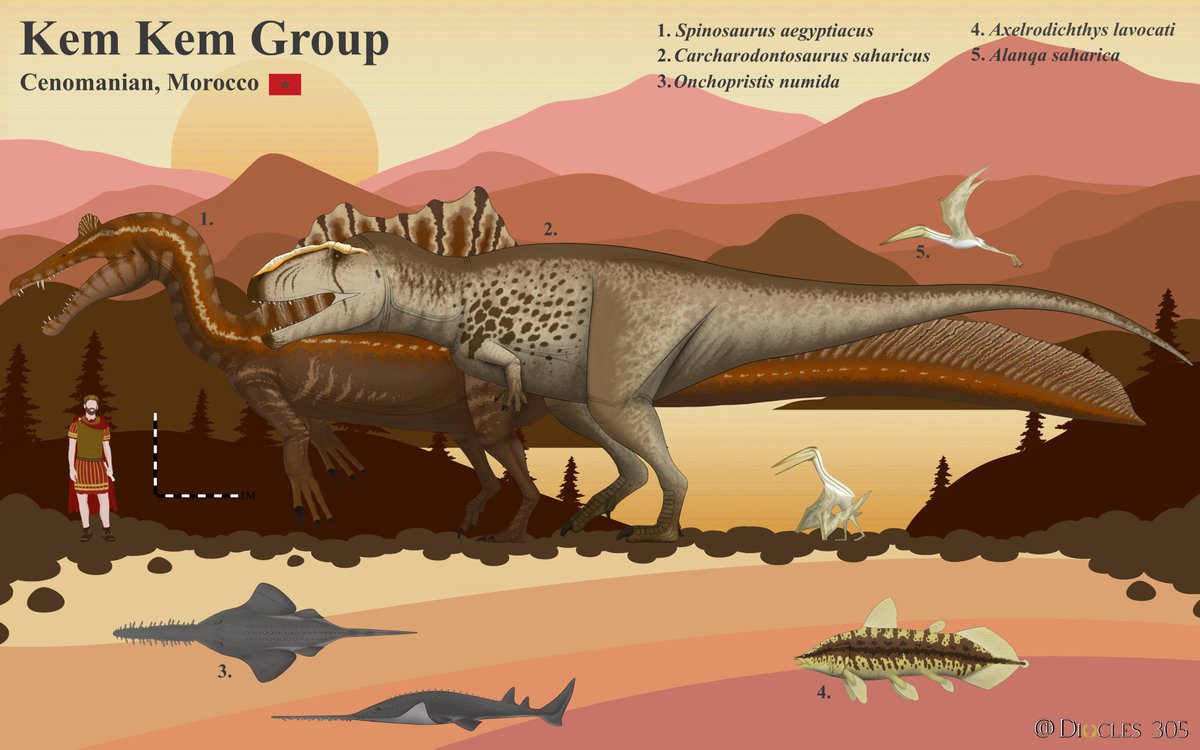Kem Kem Group Size Comparison,.. for now! I'm hoping to add onto this size comparison as I do more Kem Kem Group animals, so this is a ongoing project at the moment