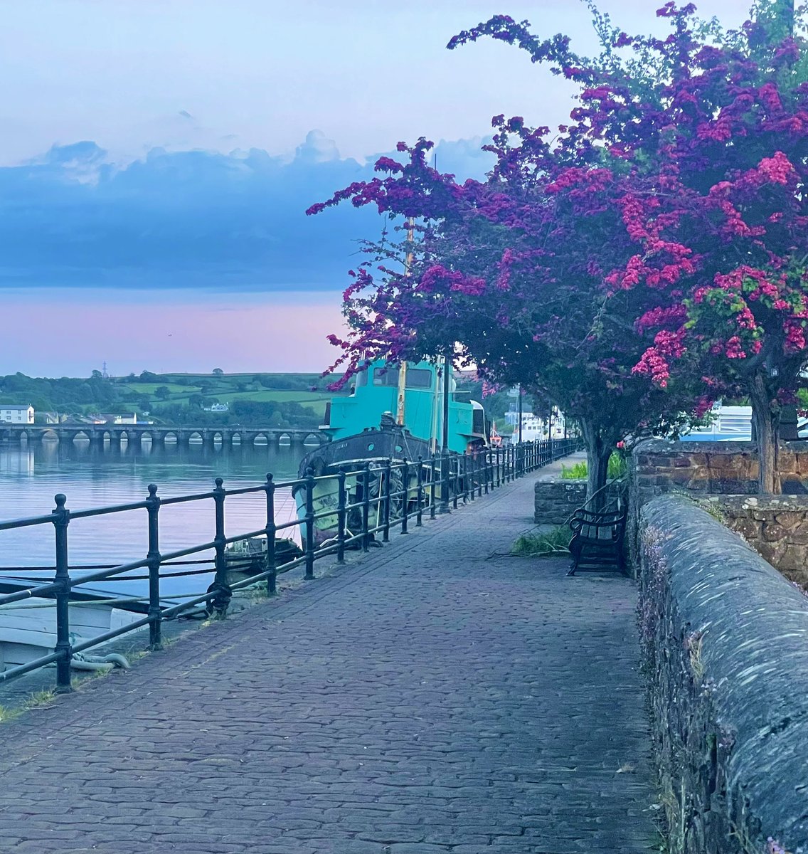 CeeCeeJade🌙 tweet media