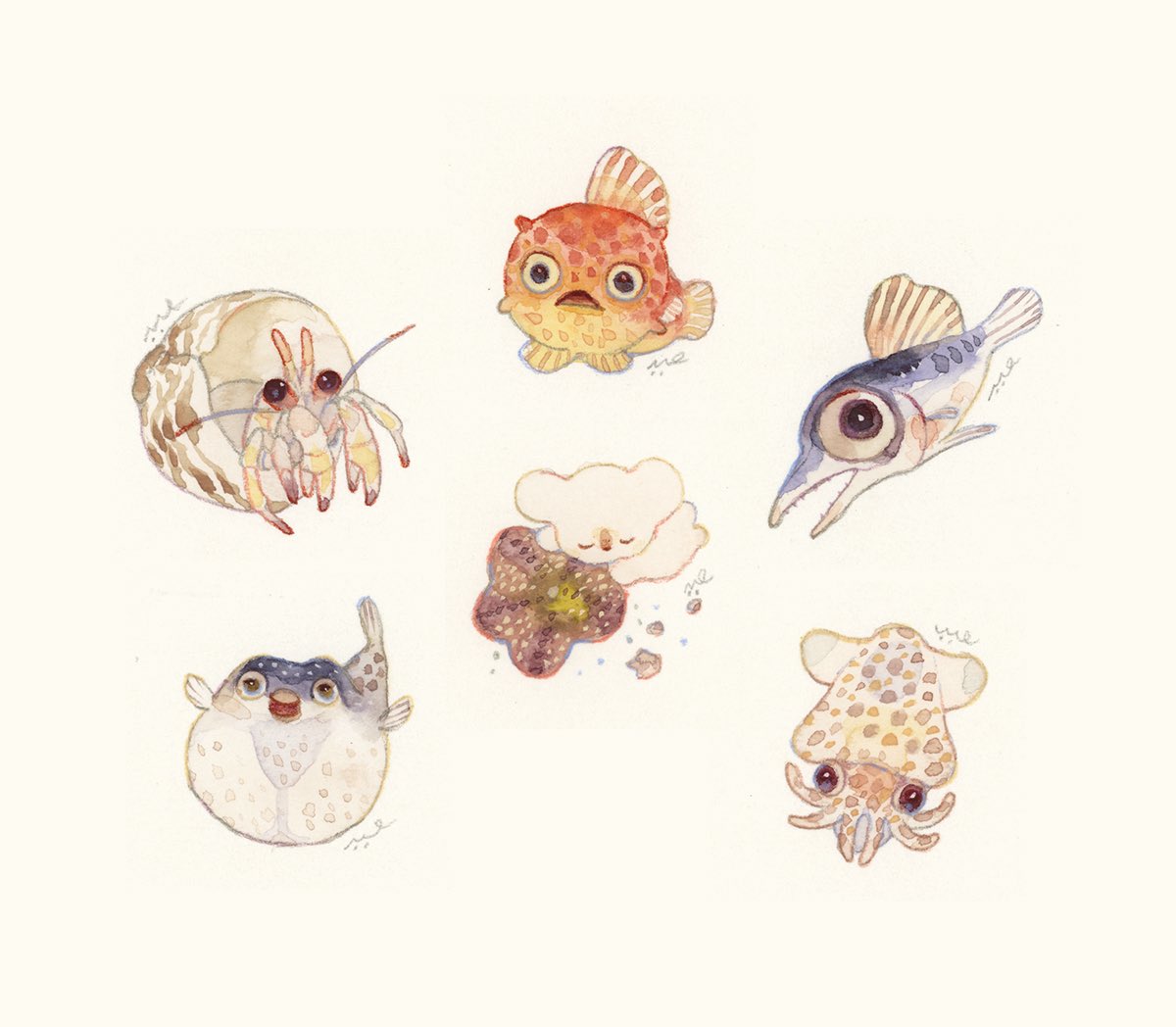 #海族のお宝2025
ちいこいさん