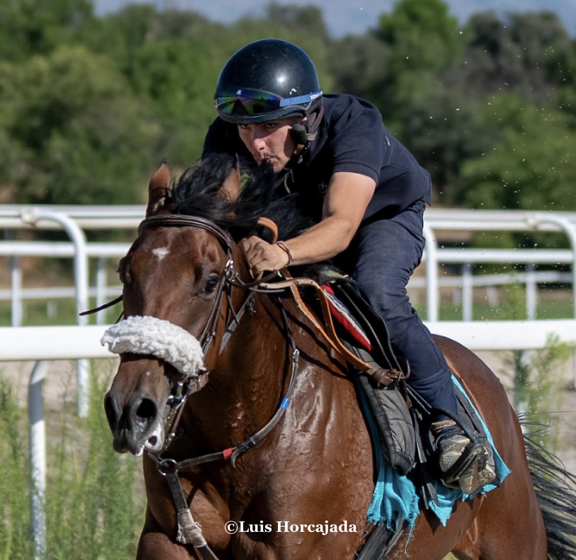 🏇✅ Mañana debuta en carrera el gentleman <a href="/_miguel_dr/">Miguel Delgado Rozas</a>. Lo hará en la Copa de España de Amateurs montando a Mazeltof de la Cuadra Olympus con la preparación de <a href="/J_C_Cerqueira/">Jose Carlos Cerqueira</a>. 
🤝¡Bienvenido a la gran familia A.E.G.R.I. y mucha suerte, Miguel! 
#Gentlemenriders
📷<a href="/LuisHorcajada66/">LUIS HORCAJADA</a>