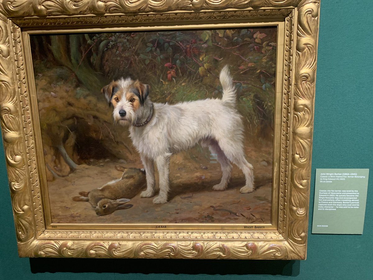 HerLakie's tweet image. The Housekeeper has done the abandonments (again) and is in That London for no good reason. She seems to think posting this painting of Edward VII’s terrier, which she spotted in the King’s Gallery will somehow help her case. #pfft