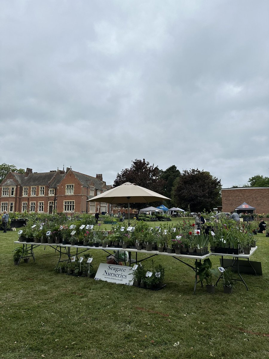 IrisesSeagate's tweet photo. All setup ready to open today 11-3 at The Friends of Buckden Towers Plant Sale at Buckden Towers,PE19 5TA. All our plants are 100% PEATFREE grown by us on the nursery! #plantfair #buckdentowers #plantsale #peatfree #saturdayevent #plantnurserylife #plantnursery #events https://t.co/ZOBpLyuqEV
