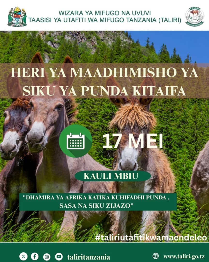 Taliri_TZ's tweet photo. Heri ya maadhimisho ya siku ya mnyama punda Kitaifa https://t.co/wOJom6H346