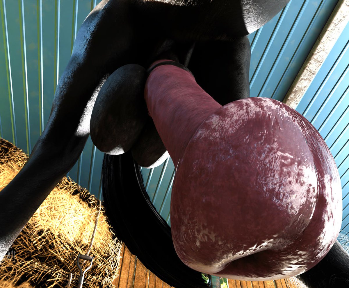 💸$uperior Horses💸 tweet media