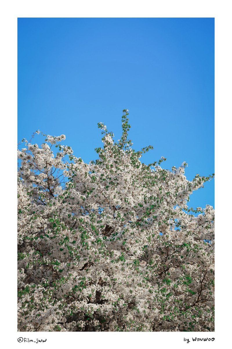 i saw svt again! tweet media