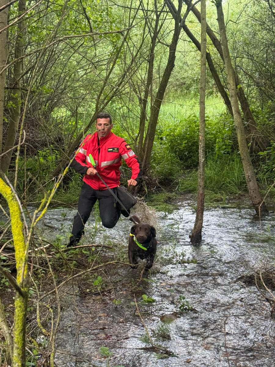 UMEgob's tweet image. Finalizan las Jornadas Cinológicas 🐕🐾 @UMEgob en #León.

El objetivo principal ha sido unificar los procedimientos, de manera que los equipos trabajen de forma más efectiva y eficaz.