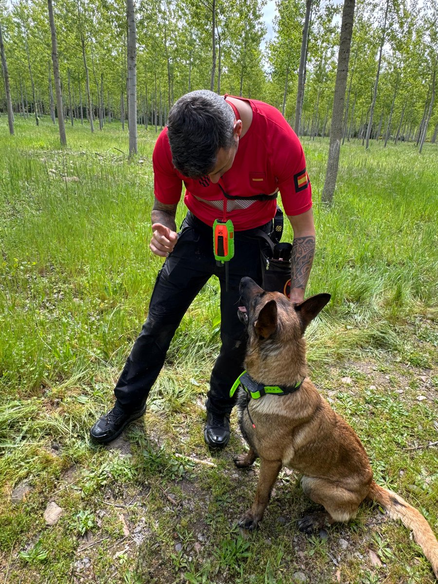 UMEgob's tweet image. Finalizan las Jornadas Cinológicas 🐕🐾 @UMEgob en #León.

El objetivo principal ha sido unificar los procedimientos, de manera que los equipos trabajen de forma más efectiva y eficaz.