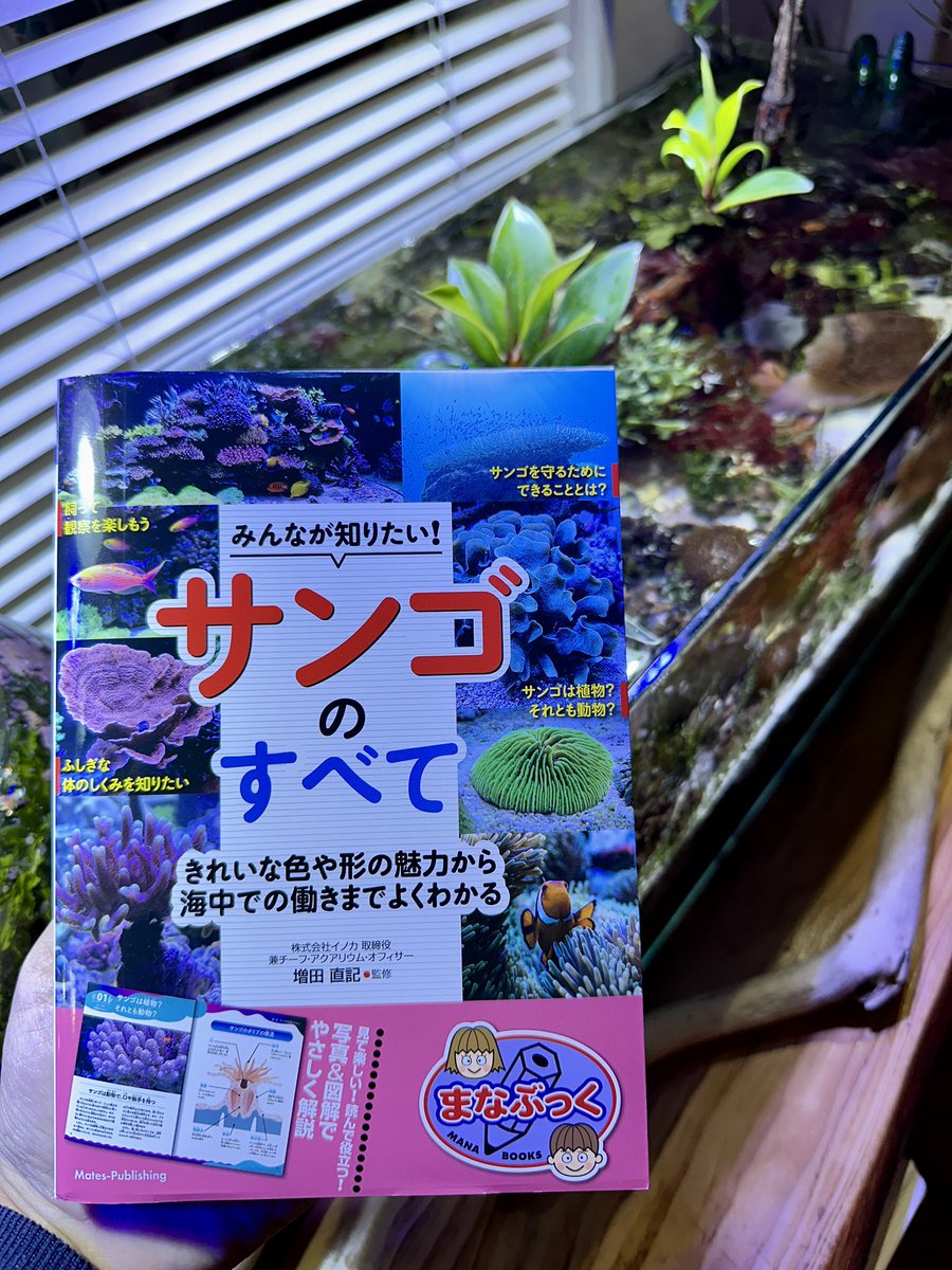 sono_aqua_pfm's tweet photo. サンゴの“白化”と“白骨化”の違いわかりますか？

この御本を子供にプレゼントしてあげて下さい

サンゴやサンゴ礁、マリンアクアリウムに興味を持つ子供が増えたらいいな🪸

サンゴ礁は僕らにかけがえのない喜びを与えてくれます✨

@Innoqua_inc
増田直記「サンゴのすべて」
https://t.co/FB1IQL5p1d https://t.co/6htlT7BxdR