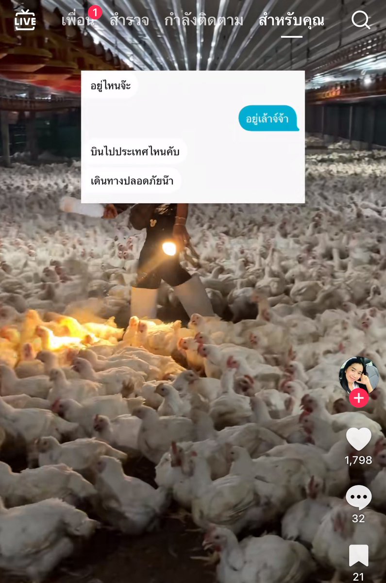 โคตรได้55555555555555555555555