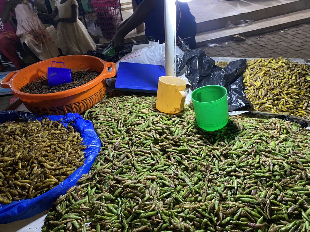 Jim Spire Ssentongo tweet media