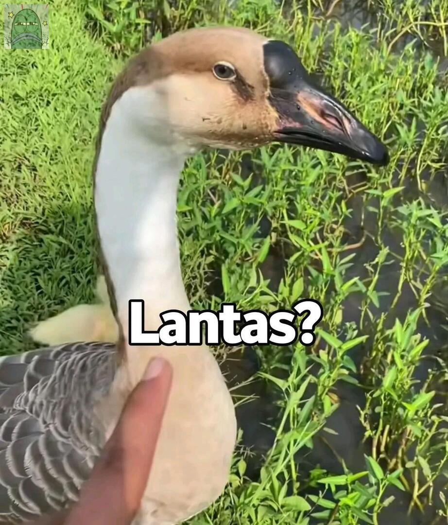 💚 coba share meme/stiker kaya gini ges. Mau koleksi mwehehe