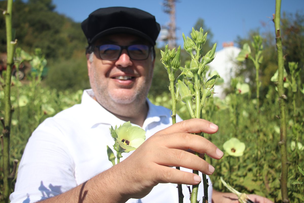 Bamya hayat konforumuzu arttırıyor... 
TABİPLER TARIM ve BAMYA faaliyetleri

Aylar sürecek bu bilgiselde bamyanın insan sağlığı üzerindeki faydaları anlatılacaktır. Lütfen sonuna kadar okumaya devam ediniz.

Foto: Bamya hasadına 250 doktor ortağımızı temsilen katılan başkanımız