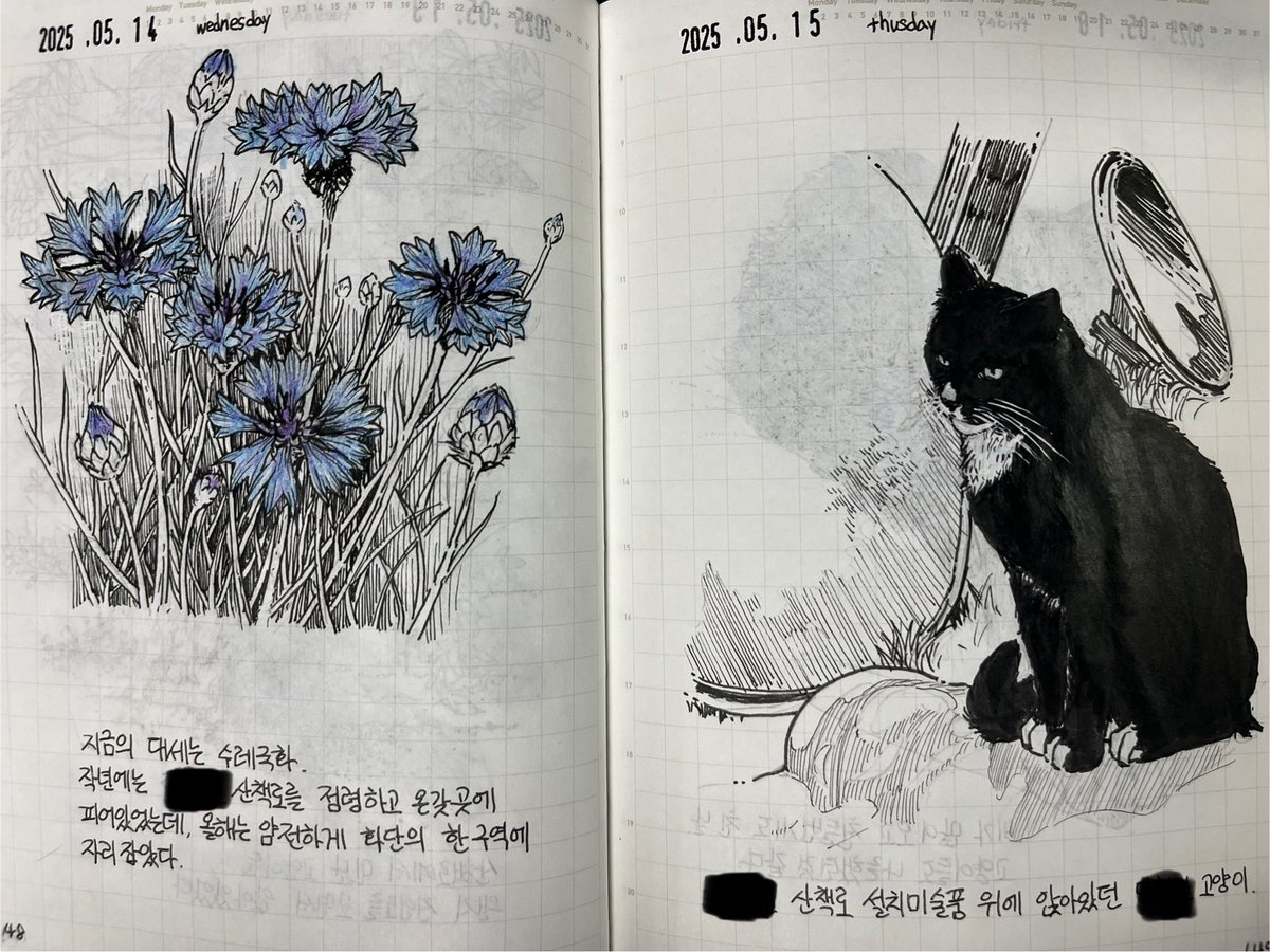 올해부터 열심히 하기 시작한 일기 쓰기. 아직 꾸준히 하고 있어. 아무래도 고양이 비중이 지나치게 높다.