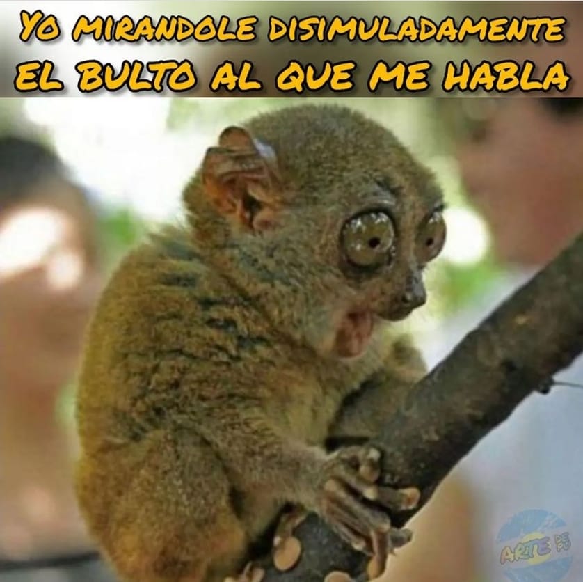 Me on the sly watching out the bulge the guy who talks to me 😂 | Yo mirando disimuladamente el bulto al que me habla 😂☝🏼 
#dirtymeme #memechancho #bulto #bulge #macho