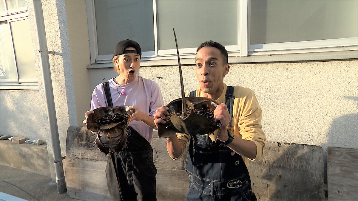 🍅お待たせトマト〜！🍅/ 今夜の #あっちこっちAぇǃ 正門・末澤・佐野