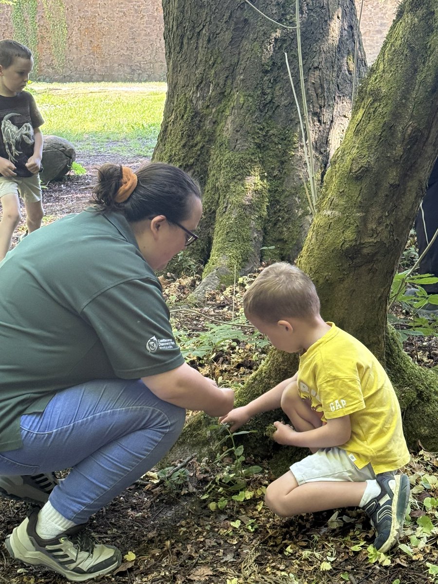 Sheila Donegan (@stemwaterford) on Twitter photo A fabulous day to be exploring #LivingEarth2025 - great to be with our partners @castlecomerdiscoverypark - STEAM in action - and learning together <a href="/CalmastWIT/">Calmast SETU</a> <a href="/mathsweek/">Maths Week Ireland</a> <a href="/SETUIreland/">South East Technological University</a> <a href="/Researchirel/">Research Ireland</a> <a href="/KKPeopleNews/">Kilkenny Live</a> <a href="/kilkennycoco/">kilkennycoco</a> <a href="/lawlessj/">James Lawless</a> A fabulous day to be exploring #LivingEarth2025 - great to be with our partners @castlecomerdiscoverypark - STEAM in action - and learning together <a href="/CalmastWIT/">Calmast SETU</a> <a href="/mathsweek/">Maths Week Ireland</a> <a href="/SETUIreland/">South East Technological University</a> <a href="/Researchirel/">Research Ireland</a> <a href="/KKPeopleNews/">Kilkenny Live</a> <a href="/kilkennycoco/">kilkennycoco</a> <a href="/lawlessj/">James Lawless</a>