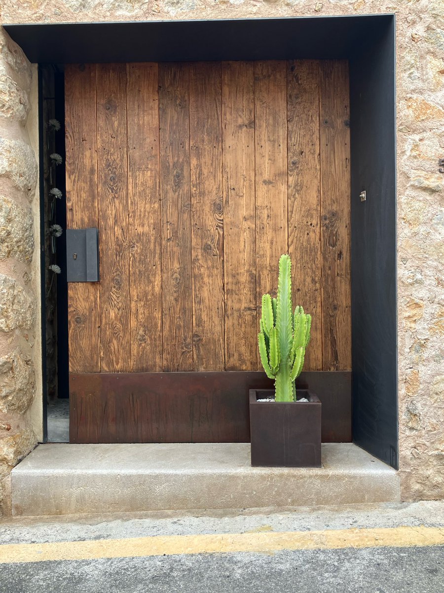 keepoutc6's tweet image. Cactus everywhere! Feels like the #methalab