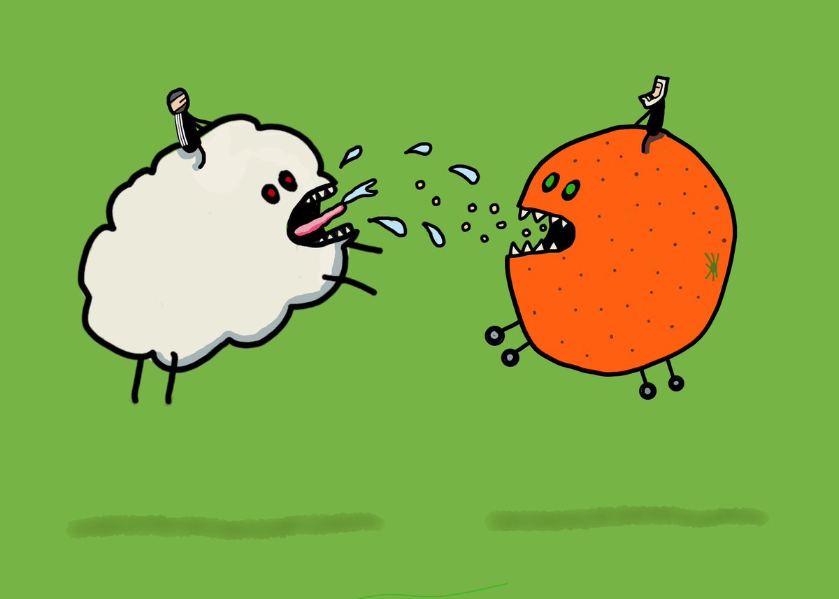 Fitba Tweets tweet media