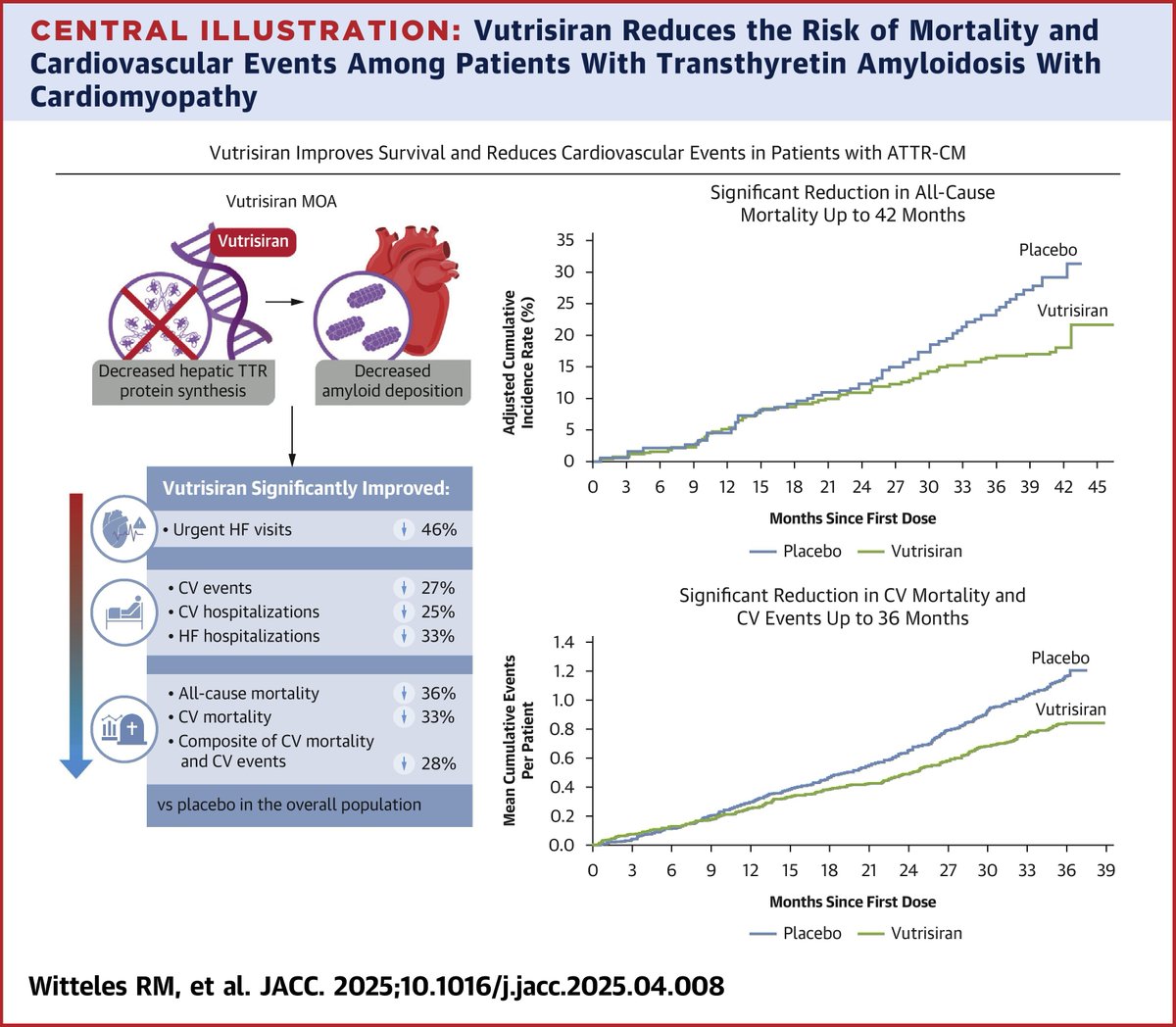 JACC Journals (@jaccjournals) on Twitter photo In these prespecified & post hoc analyses of data from the phase III #HELIOSB trial in pts w/ #ATTR-CM, #vutrisiran consistently 📉 risk of all-cause & CV mortality, & rates of CV & HF 🏥 & urgent HF visits vs placebo jacc.org/doi/10.1016/j.…
#Heartfailure2025 #JACC <a href="/Ron_Witteles/">Ronald Witteles</a> In these prespecified & post hoc analyses of data from the phase III #HELIOSB trial in pts w/ #ATTR-CM, #vutrisiran consistently 📉 risk of all-cause & CV mortality, & rates of CV & HF 🏥 & urgent HF visits vs placebo jacc.org/doi/10.1016/j.…
#Heartfailure2025 #JACC <a href="/Ron_Witteles/">Ronald Witteles</a>