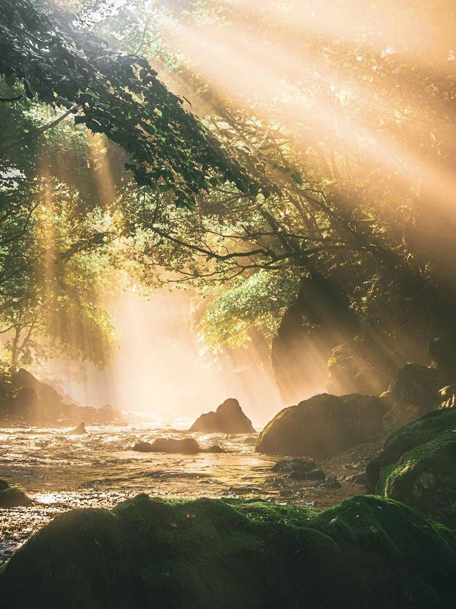 Monica AS tweet media