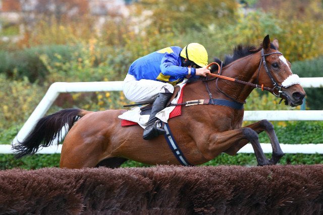 Cal🐎 tweet media